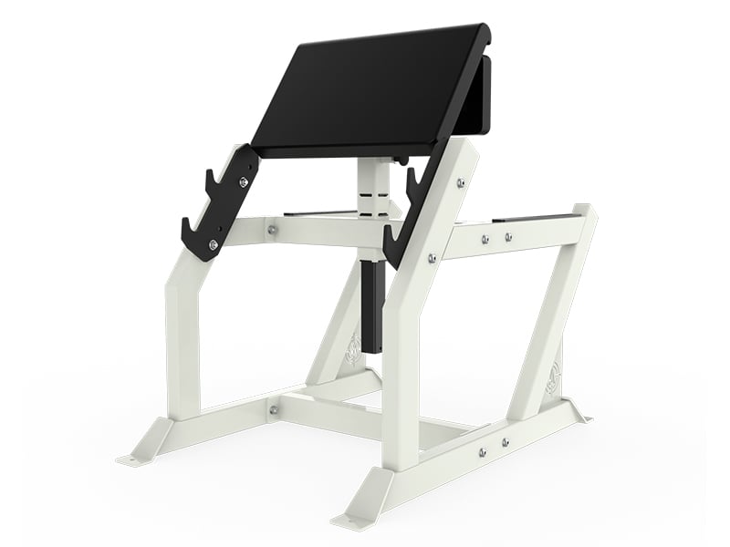 Folding preacher curl discount bench